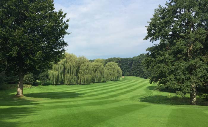 Golfmitgliedschaft in Hamburg im Golfclub